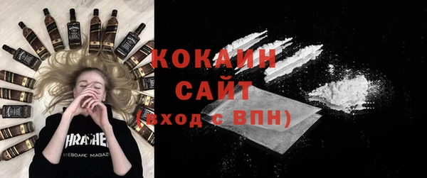 шишки Балахна