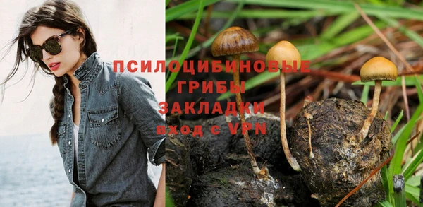 тгк Баксан