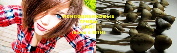 прущие крисы Новодвинск