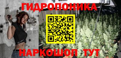кокс Ачхой-Мартан