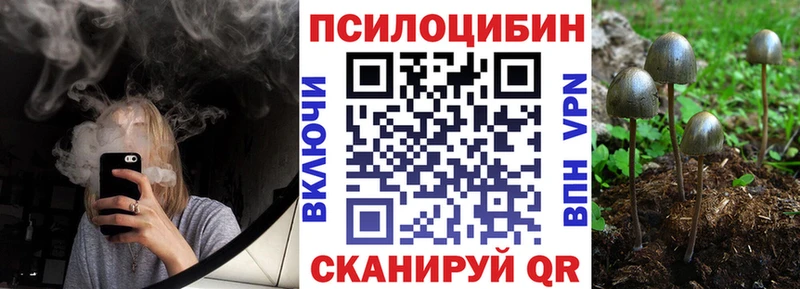 Псилоцибиновые грибы GOLDEN TEACHER  наркошоп  mega ONION  Бийск 