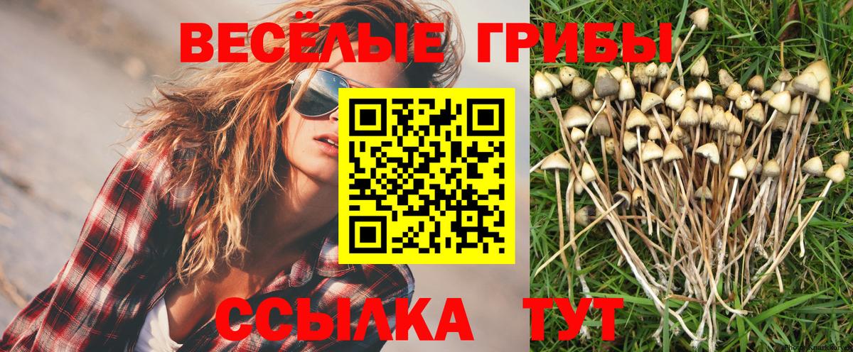 Псилоцибиновые грибы Magic Shrooms Бийск