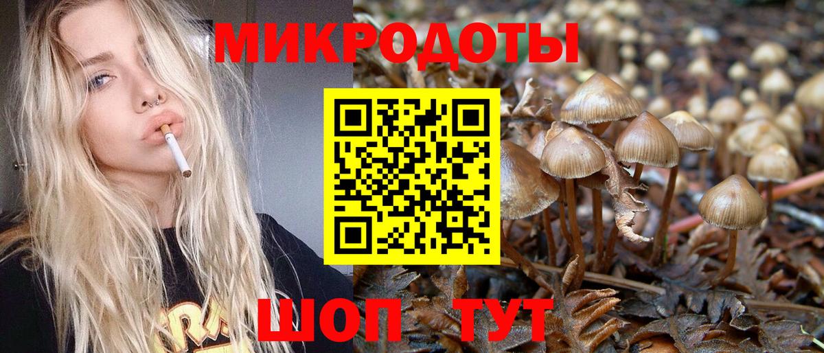 Галлюциногенные грибы прущие грибы  Вход с VPN  Бийск 